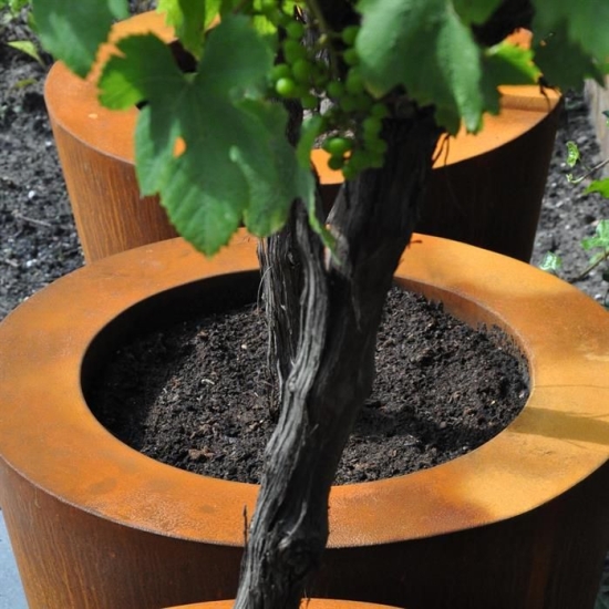 Plantenbak CONIC Schuin Rond - Cortenstaal (600x600mm)