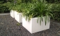 Plantenbak CARREZ met Poten Vierkant - Aluminium (1000x1000x600mm)